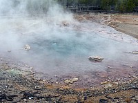 Yellowstone Norris Geyser (34).JPG